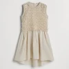 Dazzling Embroidery dress
